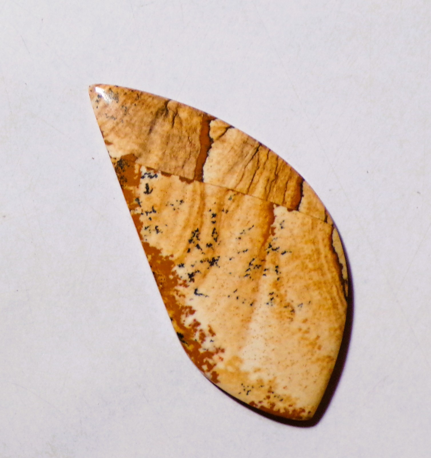 38.30 Cts Natural Picture Jasper Cabochon Loose Gemstone 55X26X4MM