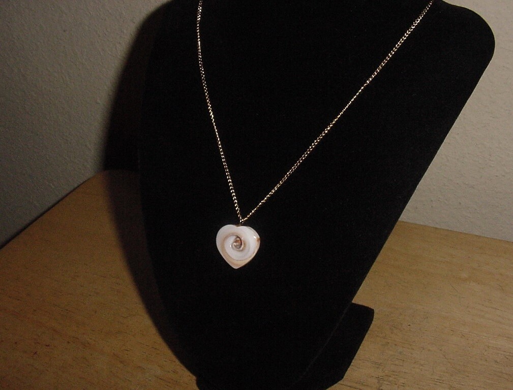 Tribal Heart Pendant-Tan & Cream Sea Shell on 18″ Gold Tone Necklace Chain-NICE