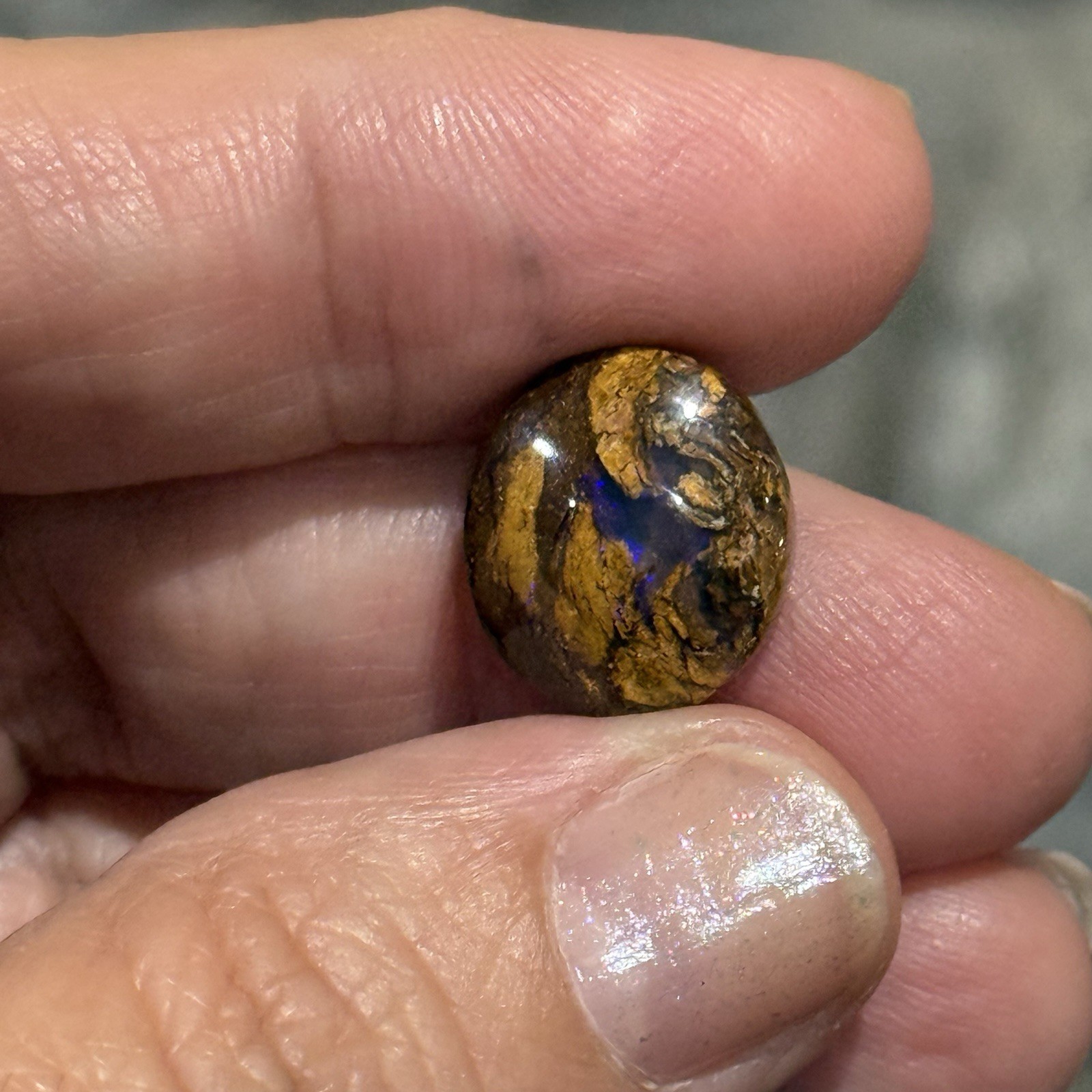 6.65ct 14.3×12.6×5.2mm Fine Australian Koroit Boulder Opal Oval Cabochon Gem
