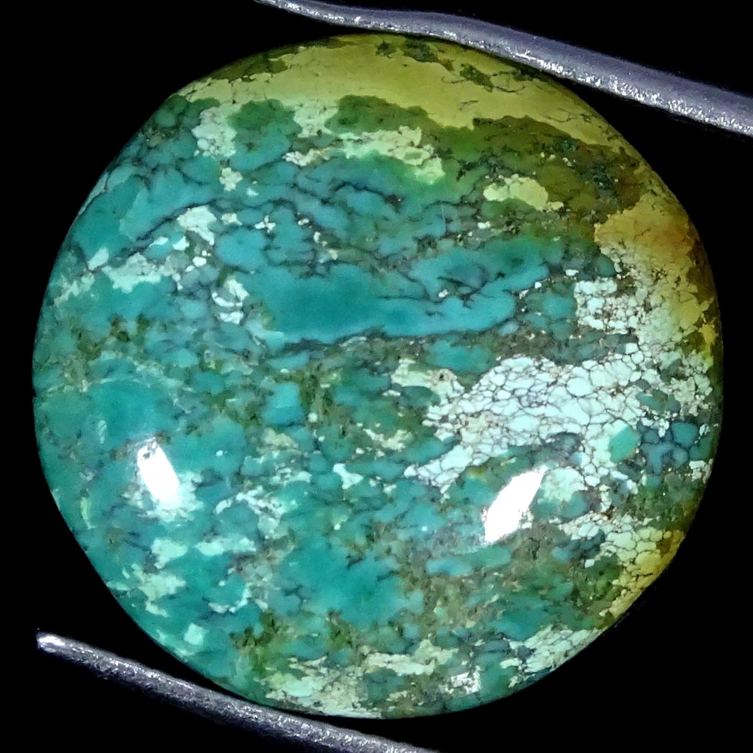 20.50Cts. 100% Natural Tibet Turquoise Round Cabochon Gemstone 19MMX6MM