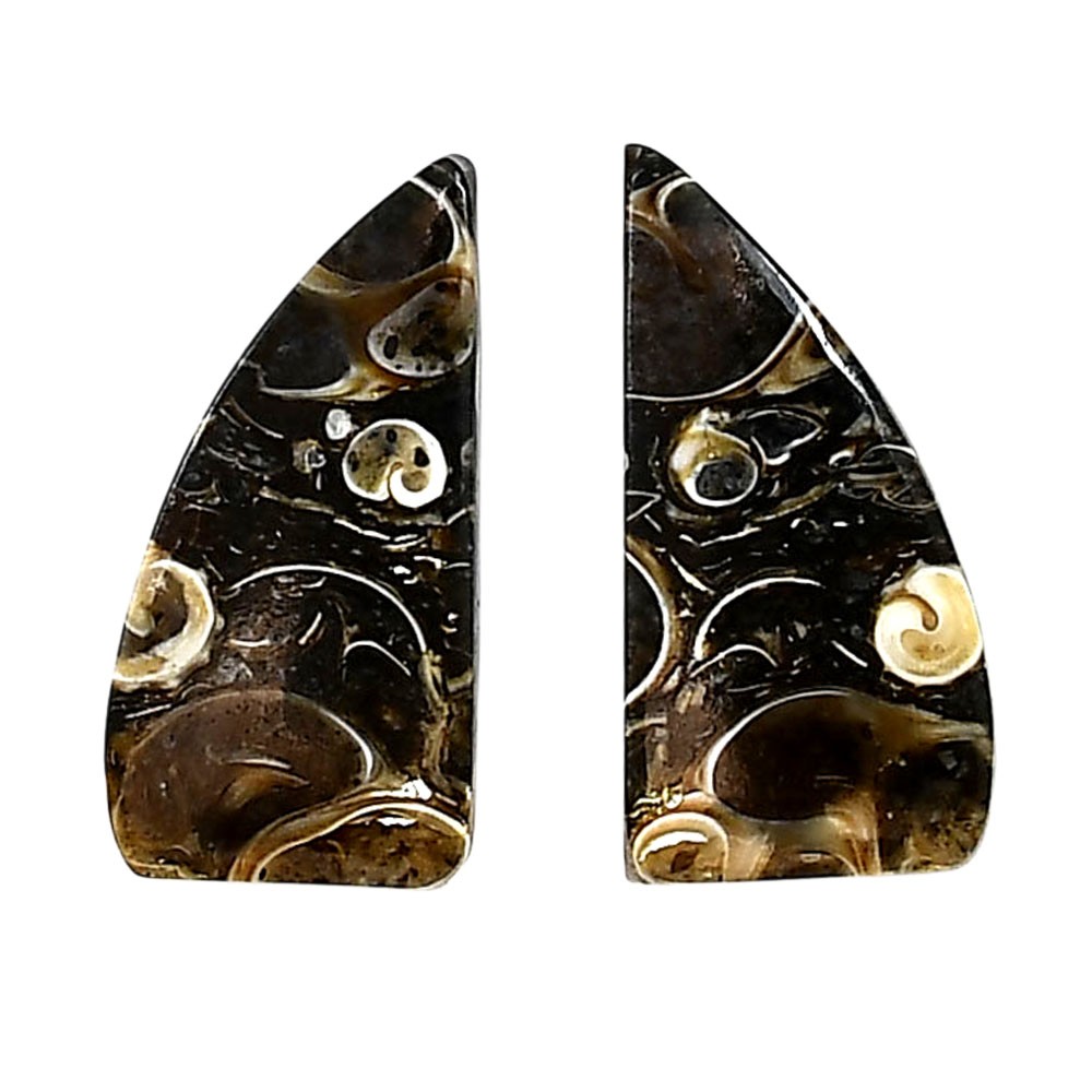 Natural Turtella Jasper Pair 12.1×24.2×4.3 mm Fancy Polished Gemstone LS70-04170