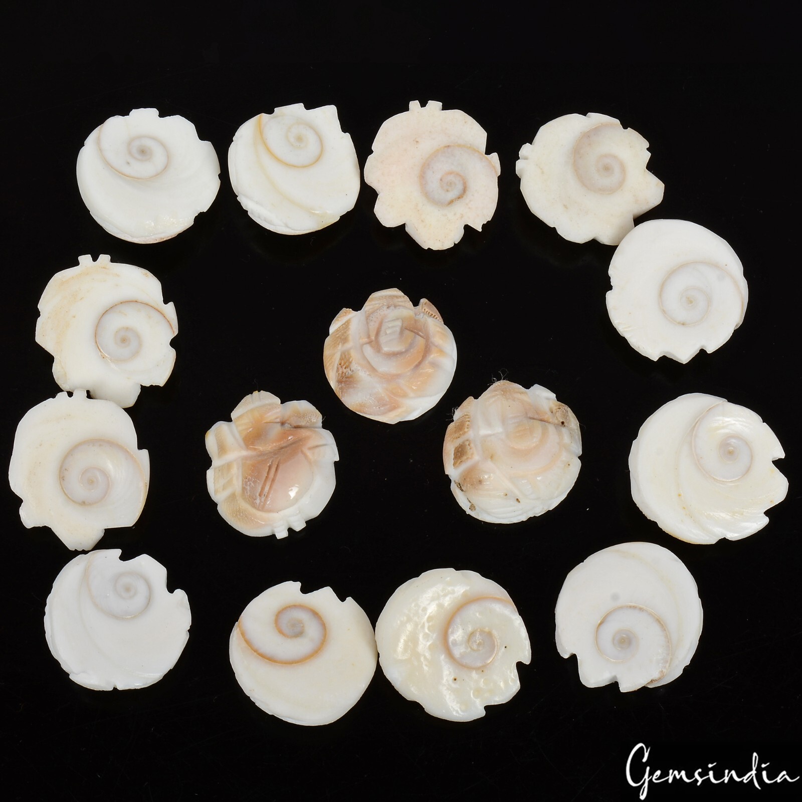 200 Cts/15 Pcs Natural Untreated Gomti Chakra Carved Ganesha Loose Gems Lot