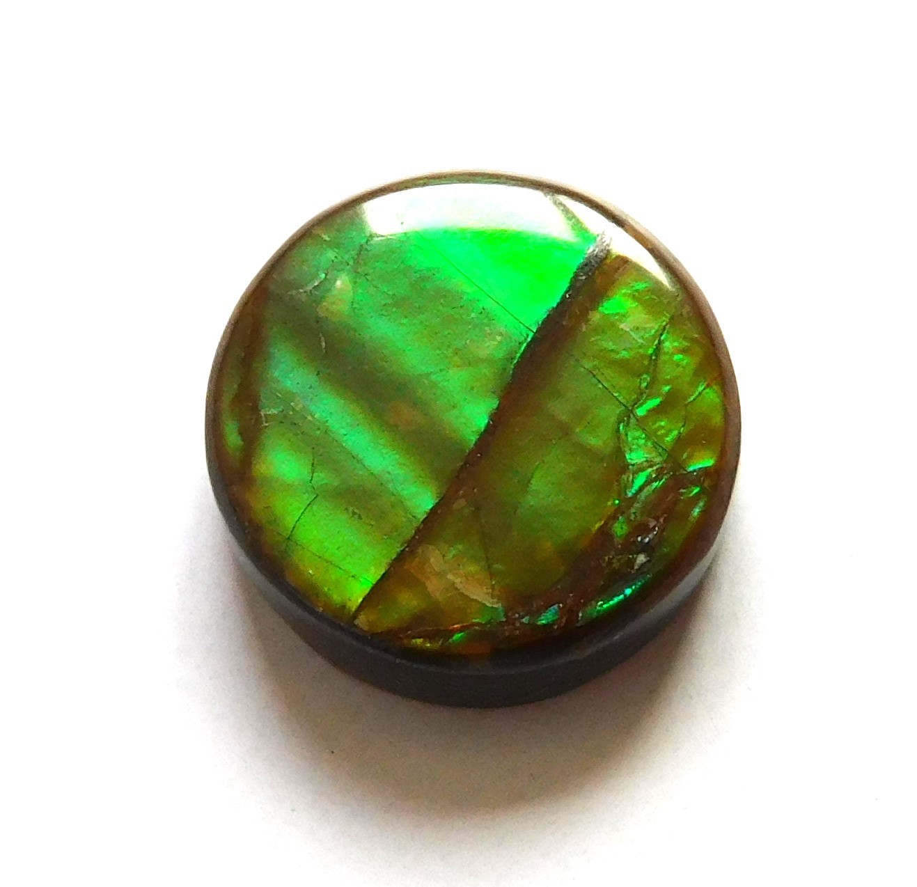 7.60 Ct Natural Canadian Ammolite Cabochon Loose Gemstone 12.5X12.4X4.3MM CJ05