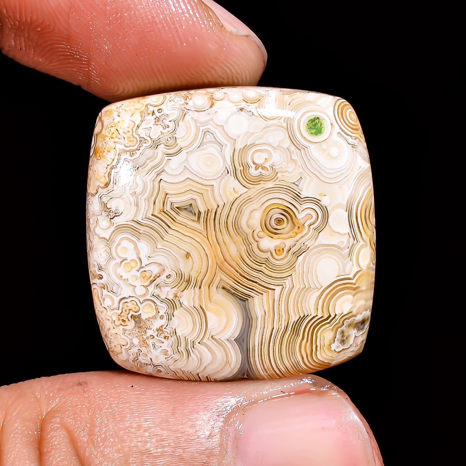 Natural Crazy Lace Agate Cushion Cabochon Loose Gemstone 24X23X6 MM 29.5 Cts.