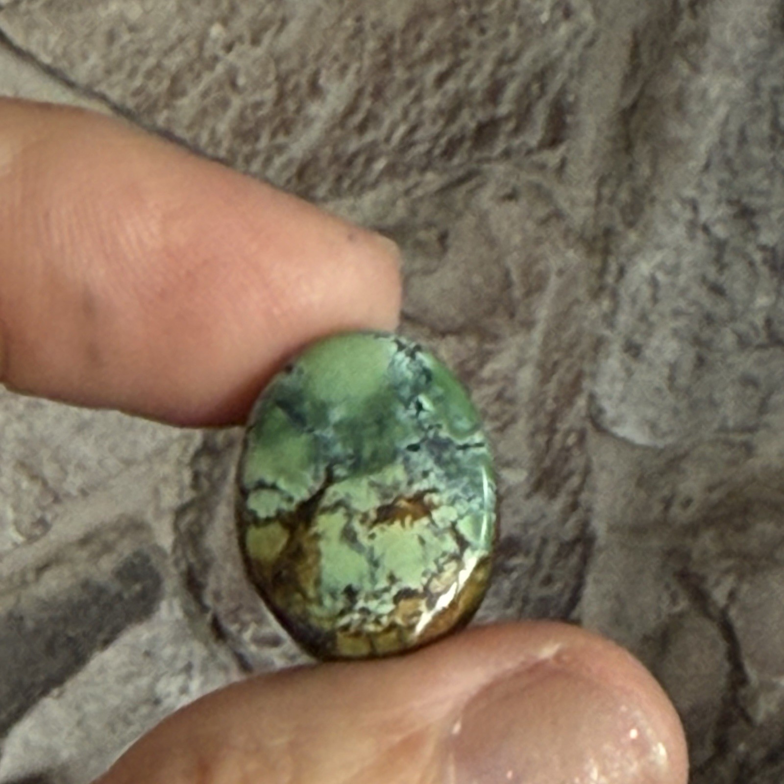 14.10ct 18.7c14.7×6.5mm Green Qingu Mine Turquoise Oval Cabochon Backed Stone