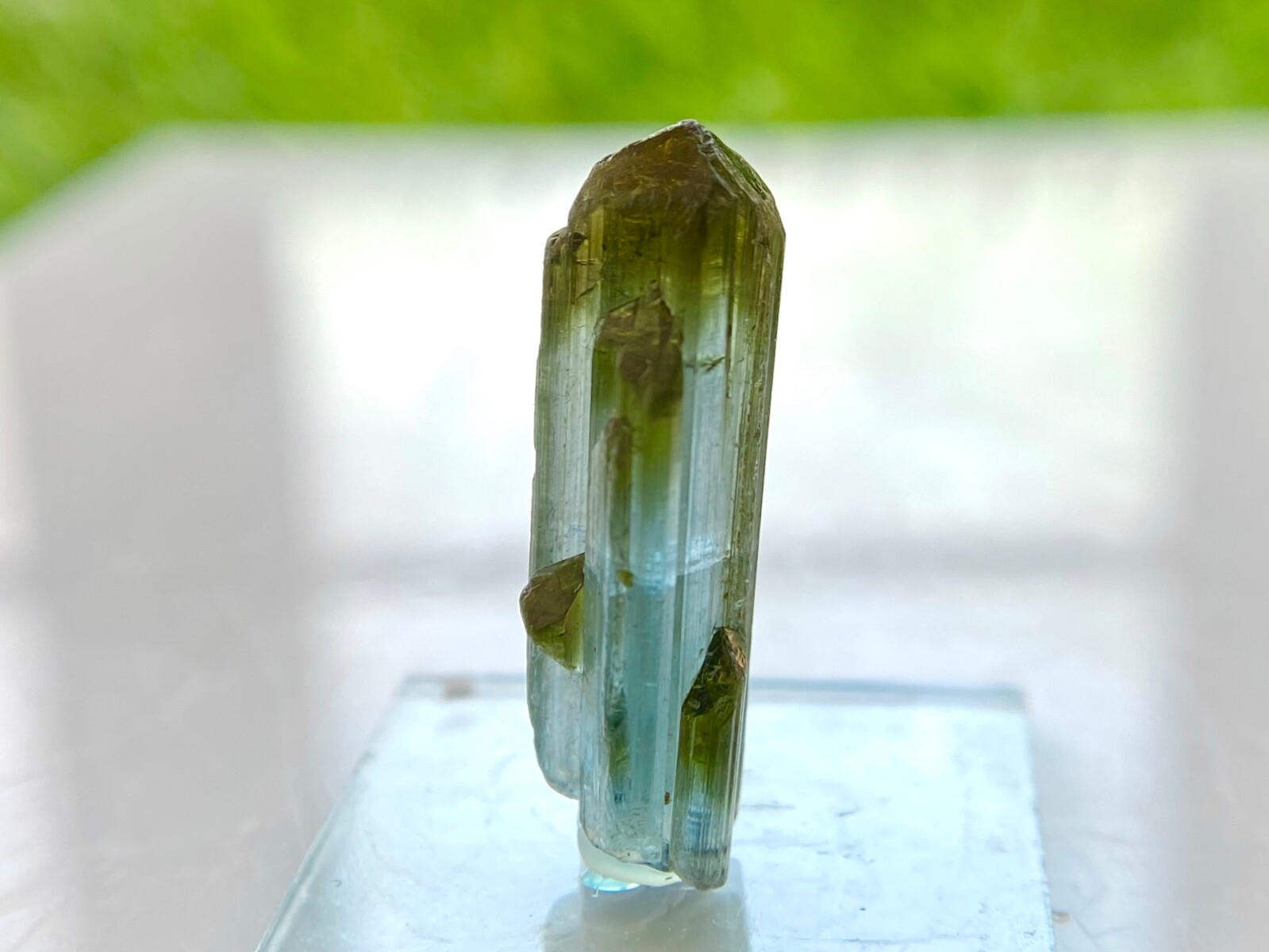 Premium Natural Indicolite Tourmaline Crystal 2.4 Grams 25x9x7mm