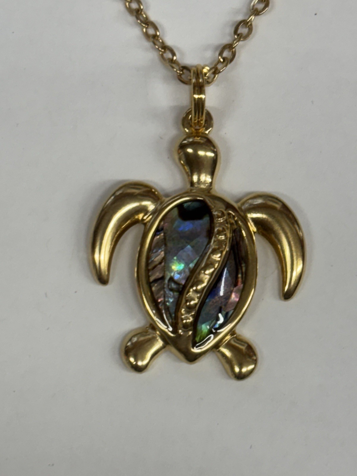 Turtle Gold Abalone Necklace Earrings Set Dangle Hook Coastal Sea Jewelry NEW