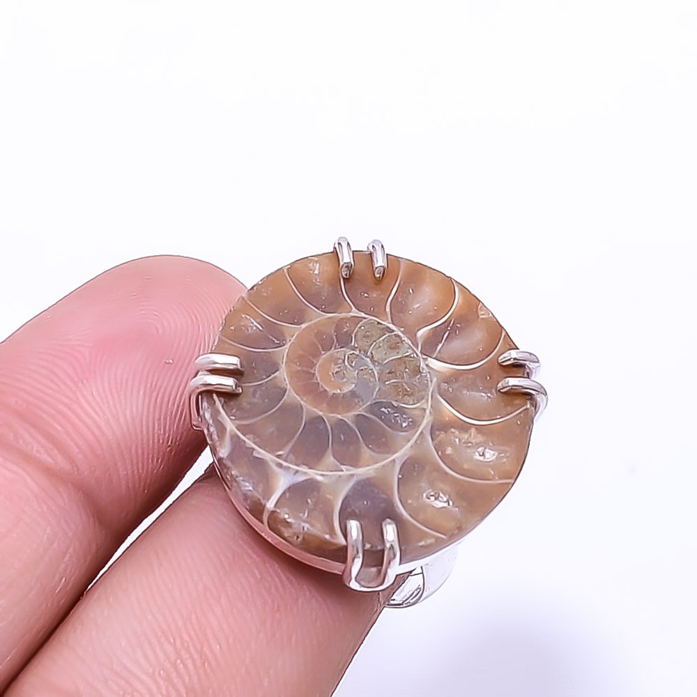 Cleoniceras Cleon Ammonite -Fossil Solitaire 925 Sterling Silver Ring s.7.5 R126