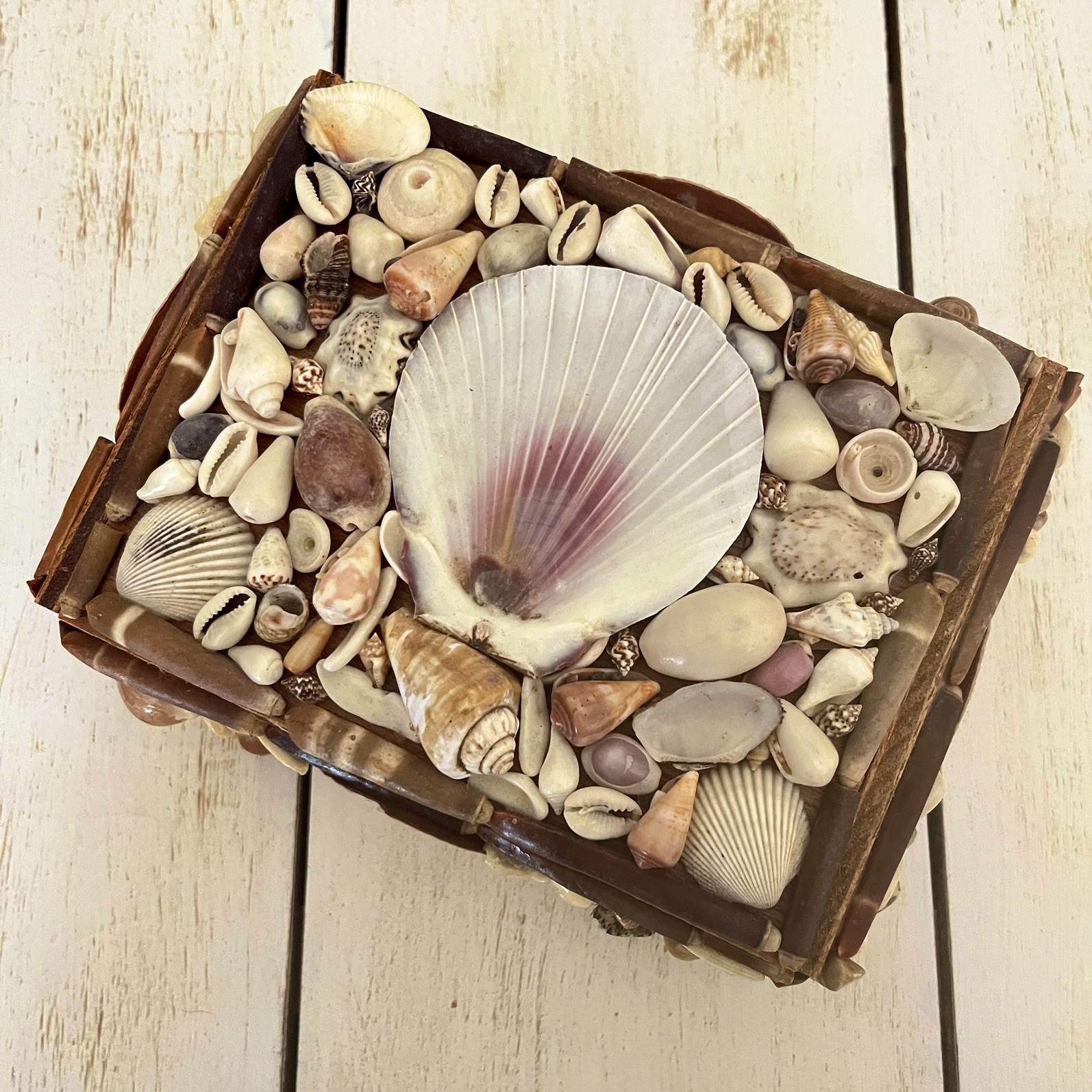 Vintage Seashell Jewelry Box Keepsake Trinket Shell Coastal Nautical
