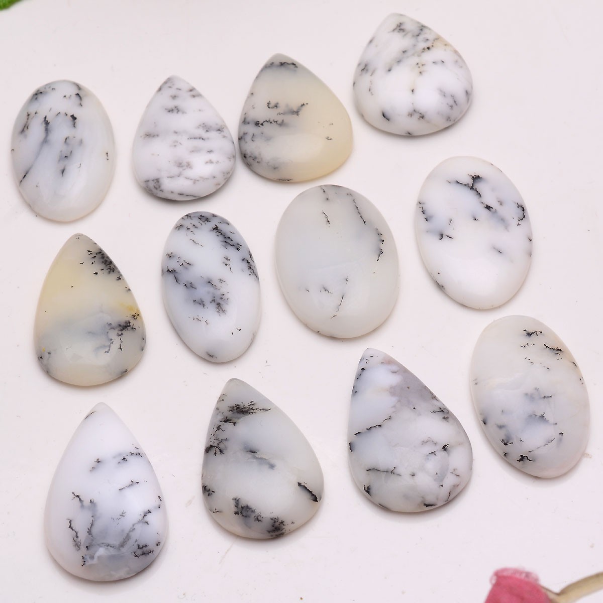 12 Pcs Natural Dendrite Agate Opal 26mm-30mm Cabochon Untreated Loose Gemstones