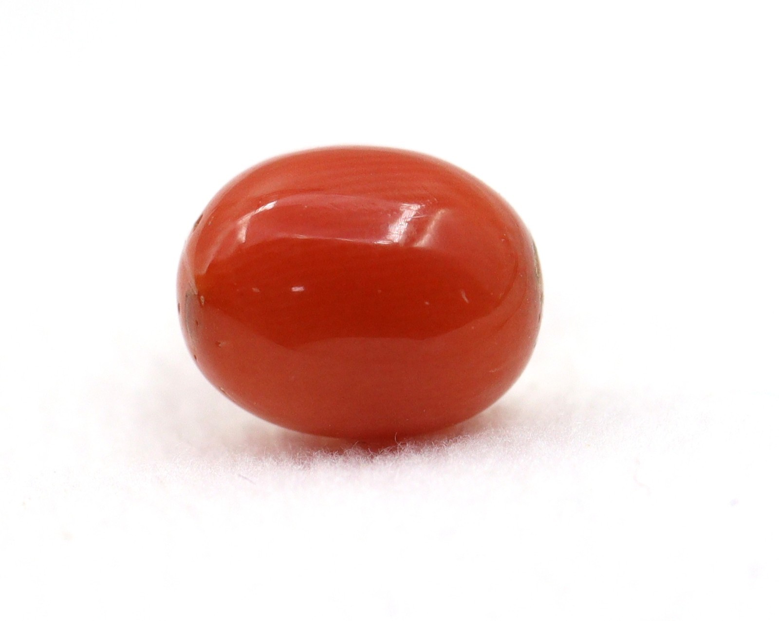 Oval Shape Italy Mined 2.76 Ct Natural Coral Orange Color Loose Gemstone