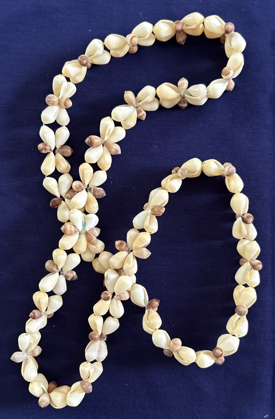 Vintage Cowrie Sea Shell NECKLACE Long Heavy 18” Hawaiian Lei
