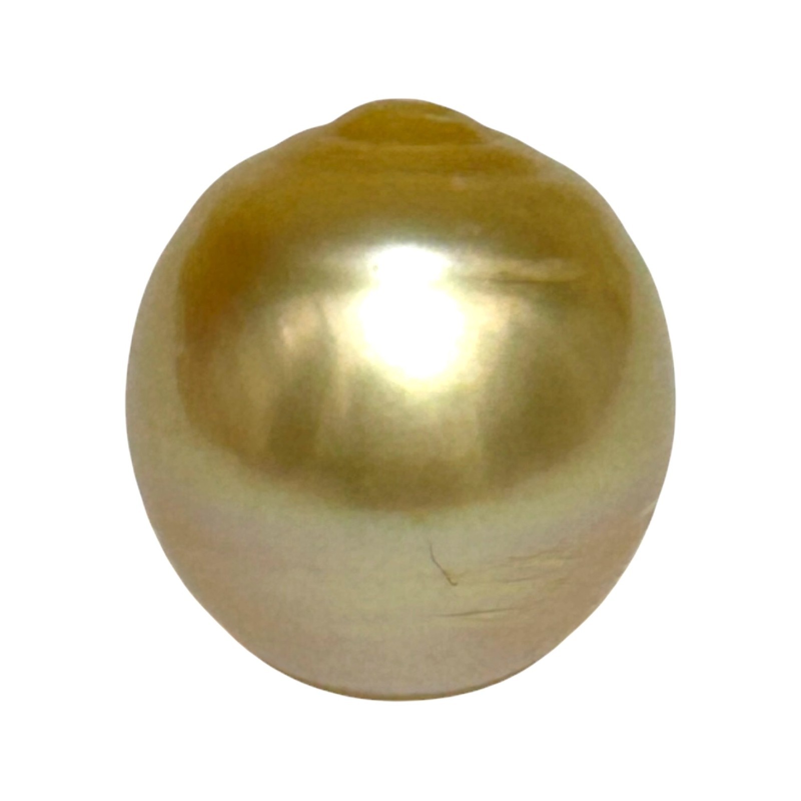 Giant 15.2 x 16.6mm 26.7 Carats Natural Golden Philippines South Sea Pearl Loose