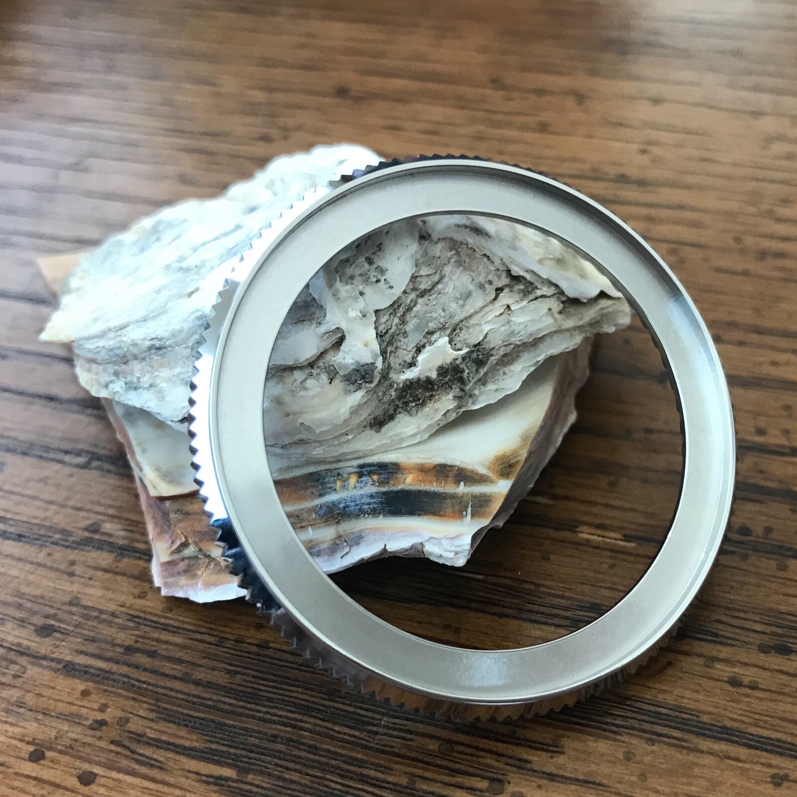 Coin Edge Bezel for Seiko SRP Turtle 120 Click Unidirectional ~ US Seller