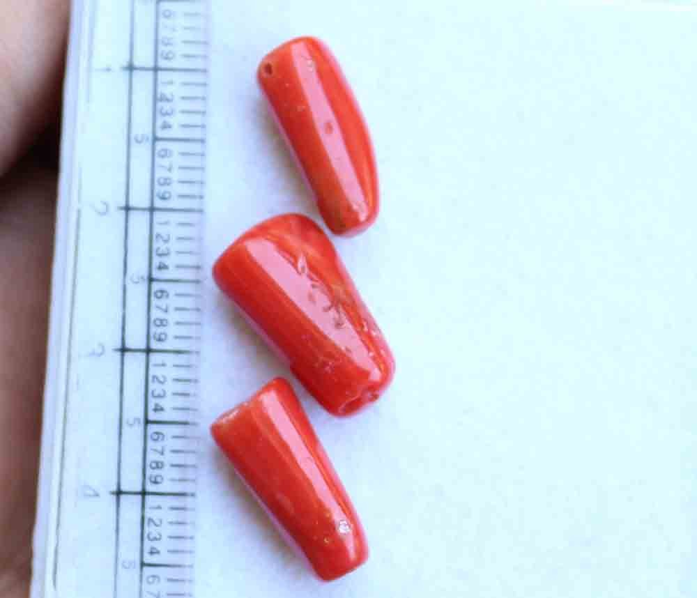 14.10 Ct 3 Pcs Natural 100% italian Red Coral Moonga Loose Gemstone