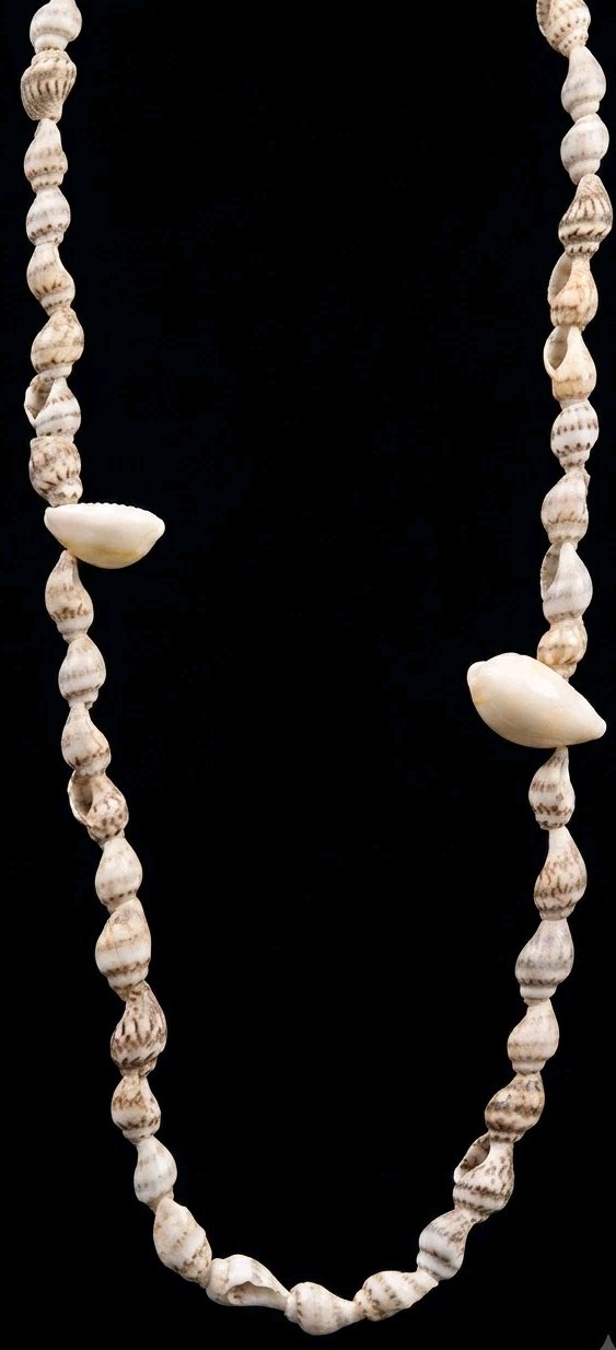 Vintage Natural Cowrie Shell Necklace – Boho Beach Hawaiian Surf Jewelry