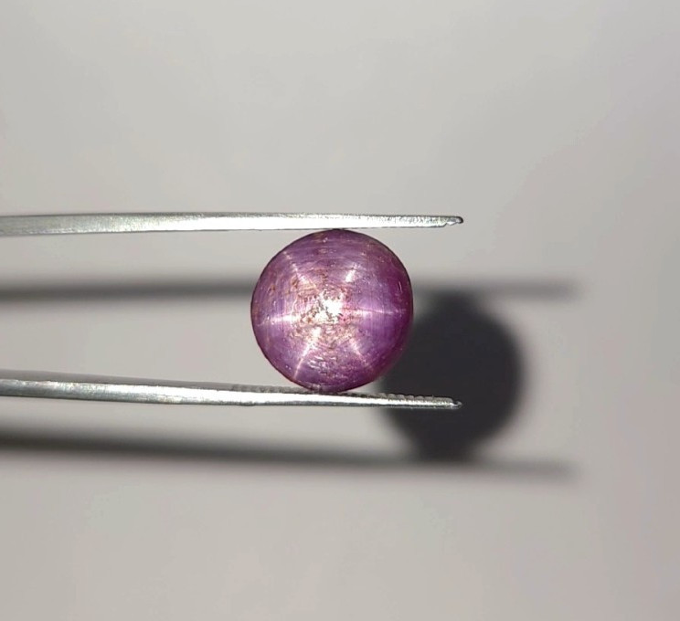 Natural Star Ruby Cabochon Translucent 6.50 ct Pink Round loose gemstone