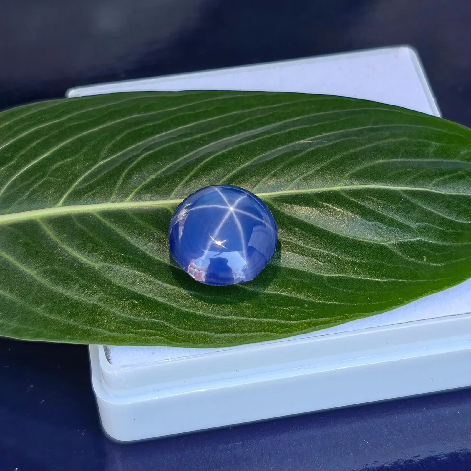 6 Ray GIE Certified Natural Star Sapphire 6.90 Ct Loose Gemstone Round cabochon