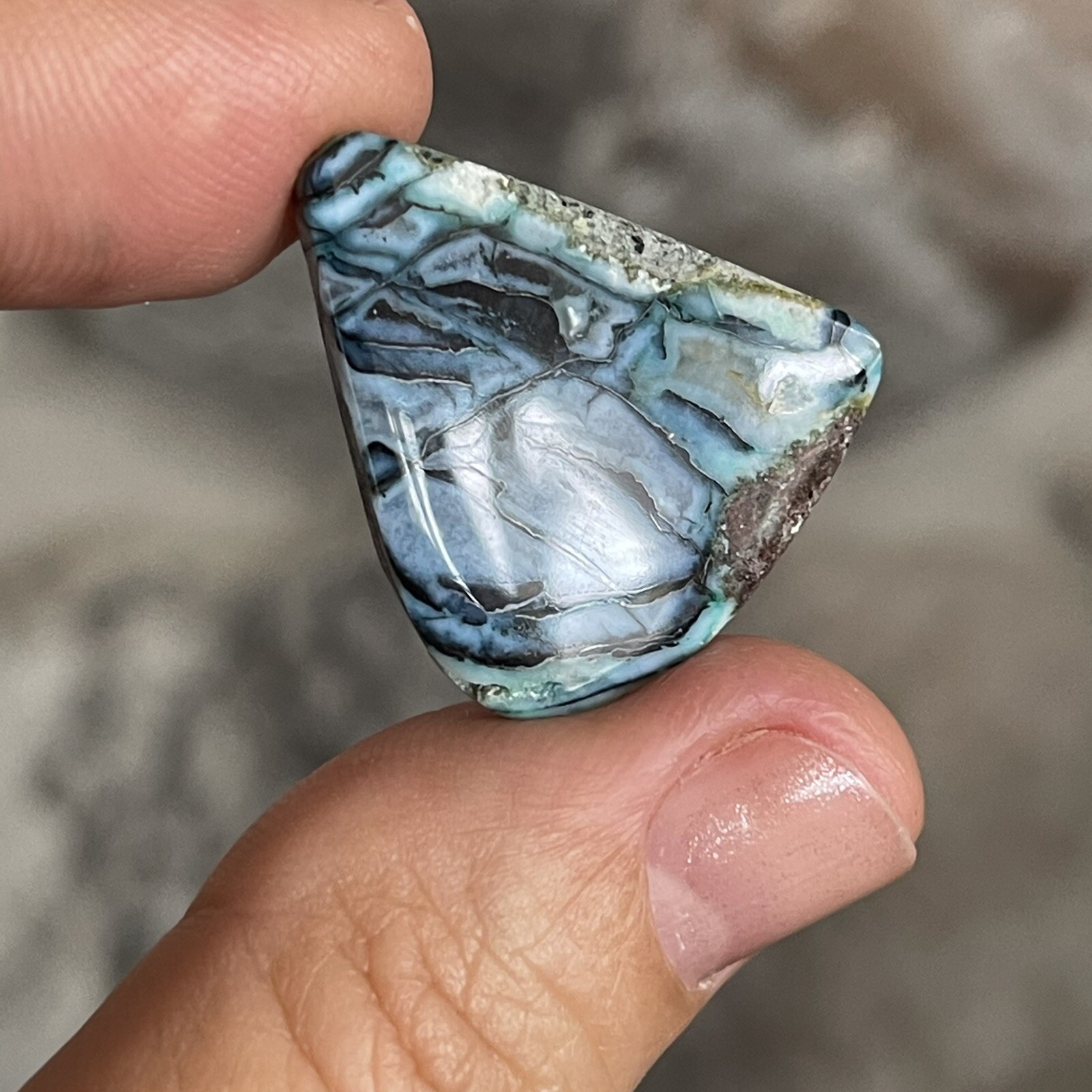 26.5×21.6x5mm Rare Agatized Wood Colorful Chrysocolla Cabochon Picture Stone