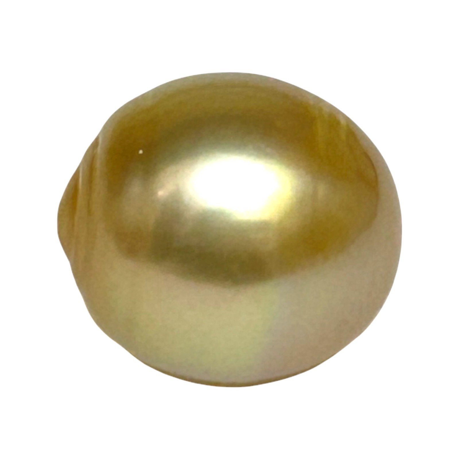 Giant 15.2 x 16.6mm 26.7 Carats Natural Golden Philippines South Sea Pearl Loose