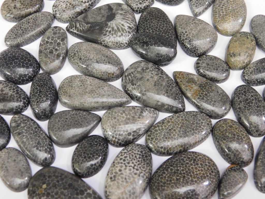 Natural Black Fossil Gemstone Cabochon, Best For Unique Jewelry Creation 71302
