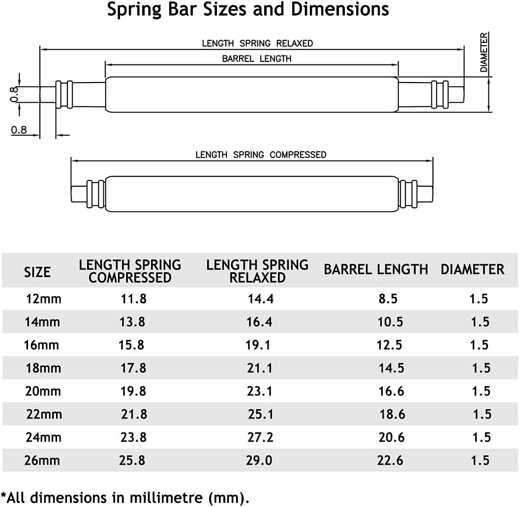 Versatile Watch Spring Bar Tool and 32 Stainless Steel Pins for Repairs