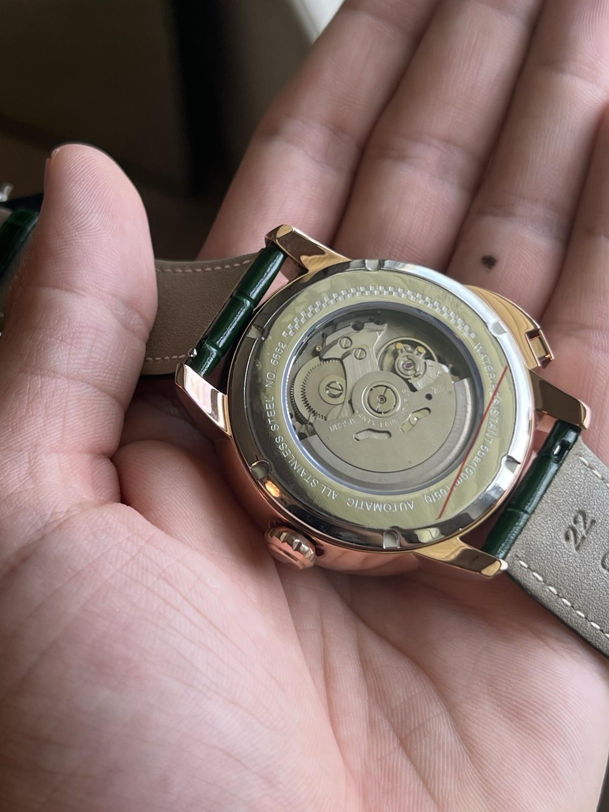 PINDU Men’s Automatic Watch Horse Racing Track Rotating 46mm Watch Gold Case
