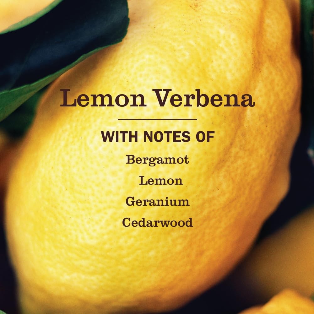 MRS. MEYER’S CLEAN DAY All-Purpose 16 Fl Oz (Pack of 1), Lemon Verbena