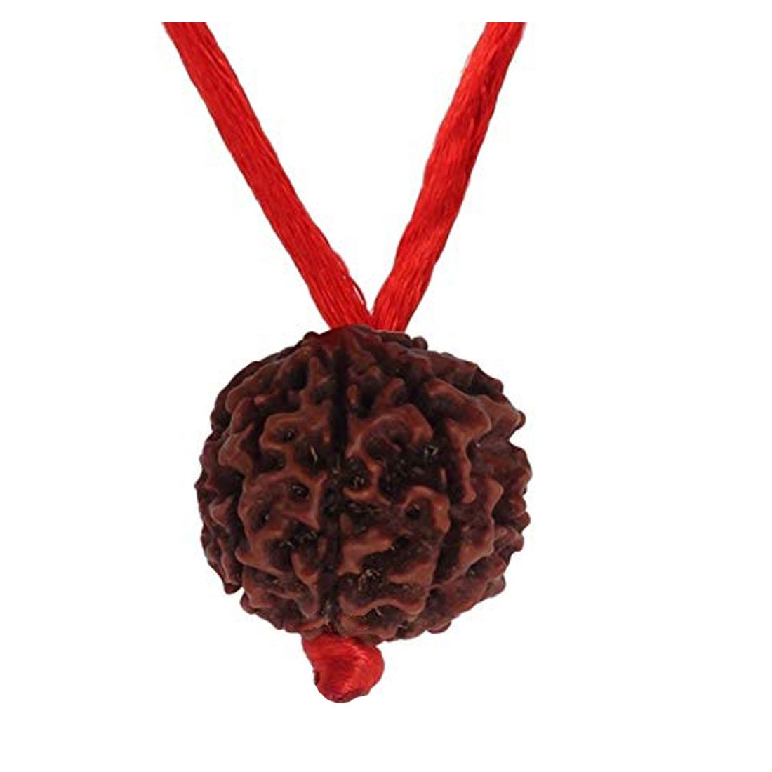 Rudraksha Pendant 8 Mukhi/EightFaced Round Red Thread Beads