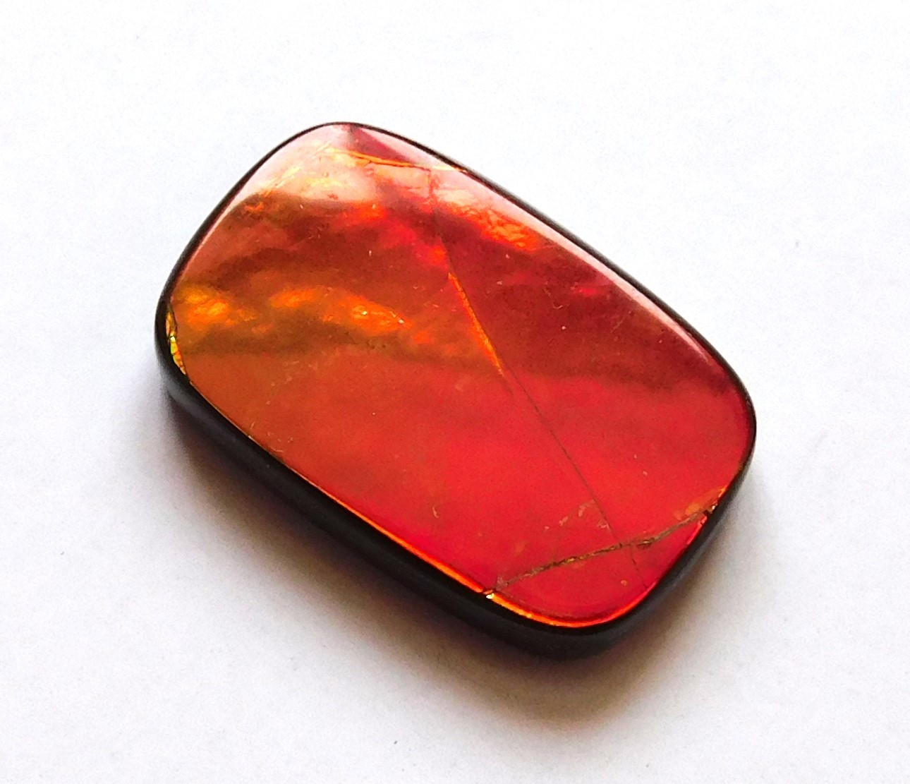13.45 Ct Natural Canadian Ammolite Cabochon Loose Gemstone 20.6X13.2X4MM LT12