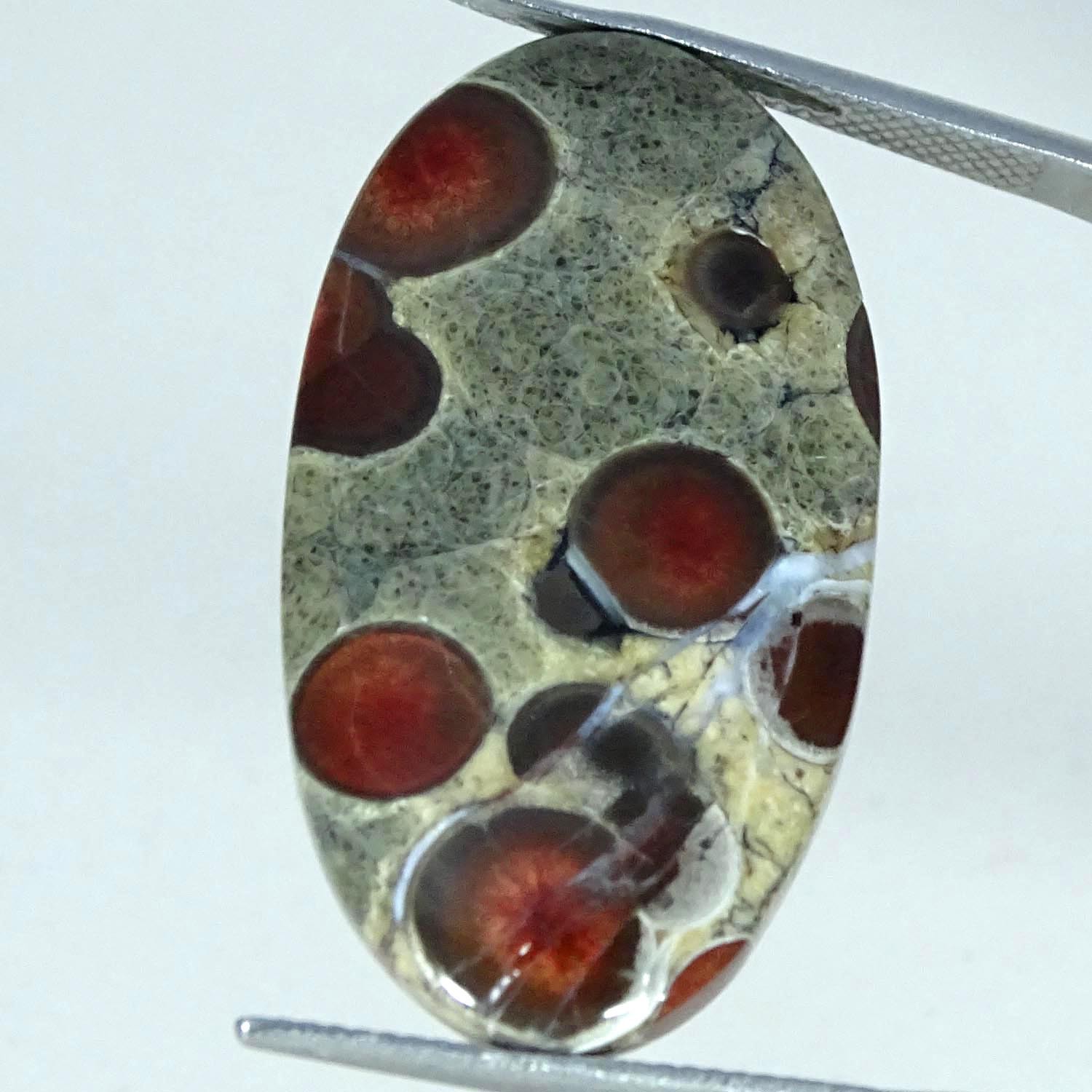 23.10Cts 100% Natural Peanut Obsidian Oval Cabochon Gemstone 19X35X5MM