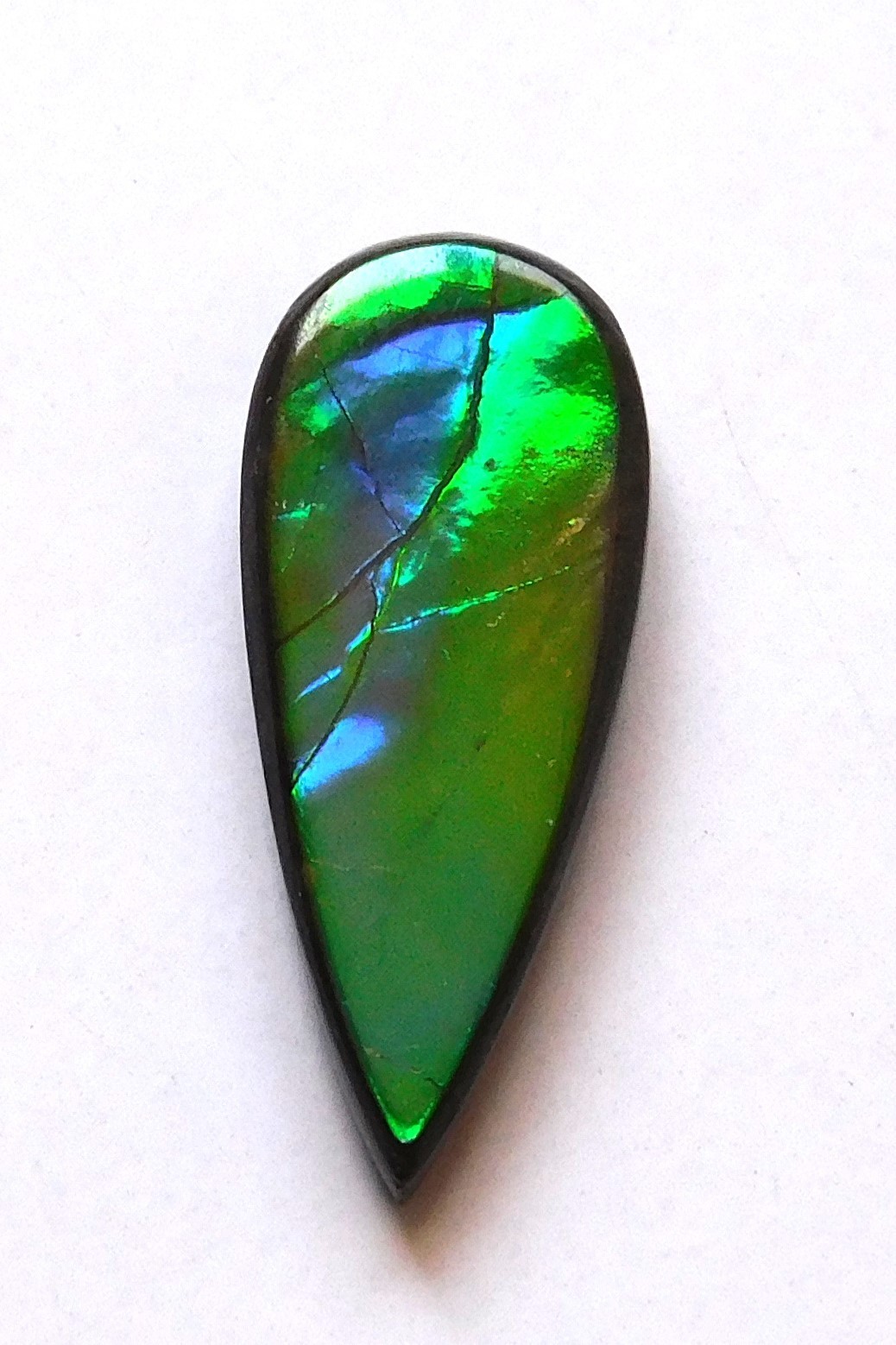 6.40 Ct Natural Canadian Ammolite Cabochon Loose Gemstone 22X9X3.5MM LE20