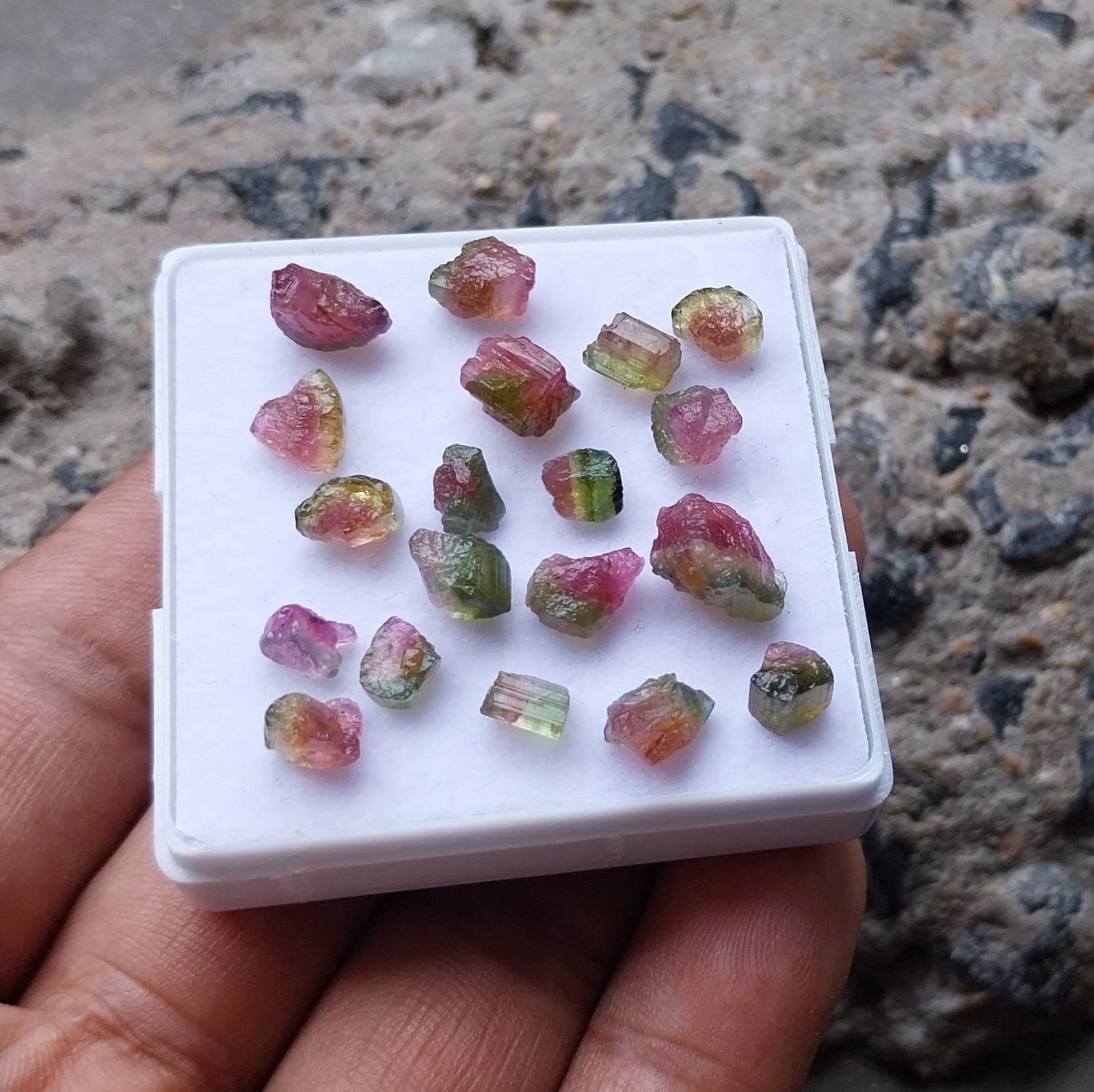 25.5 Ct 4 to 9 MM Natural Watermelon Bi-Color Tourmaline Raw Rough 19 Piece Lot