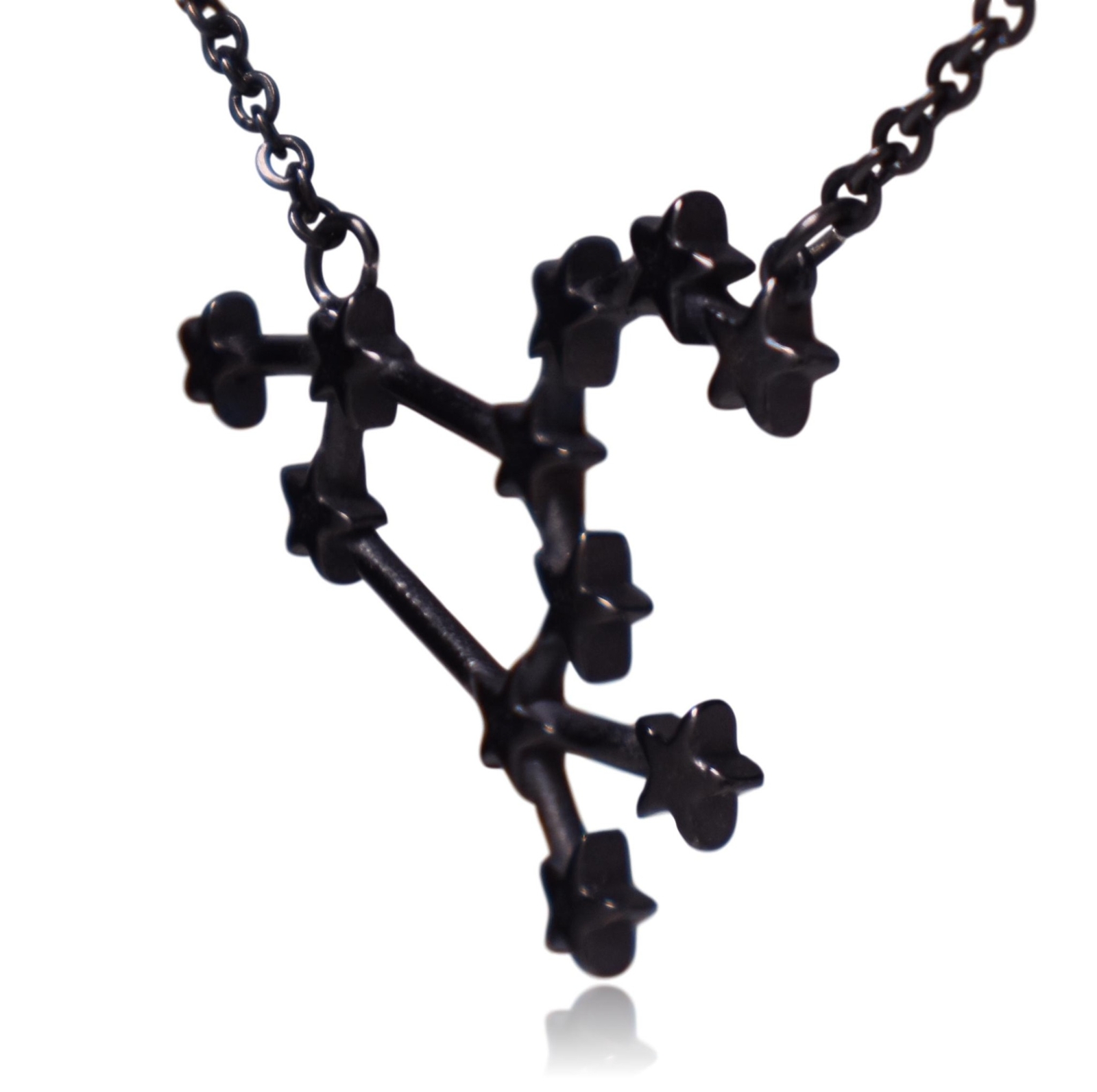 Leo Zodiac Constellation Sign Stainless Steel Pendant Necklace