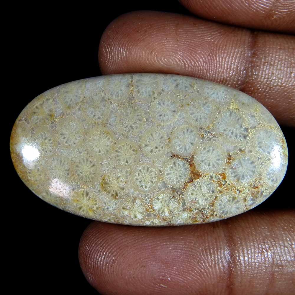 57.20 Cts Natural Fossilized Coral Cabochon, Intricate Fossil Oval Cab