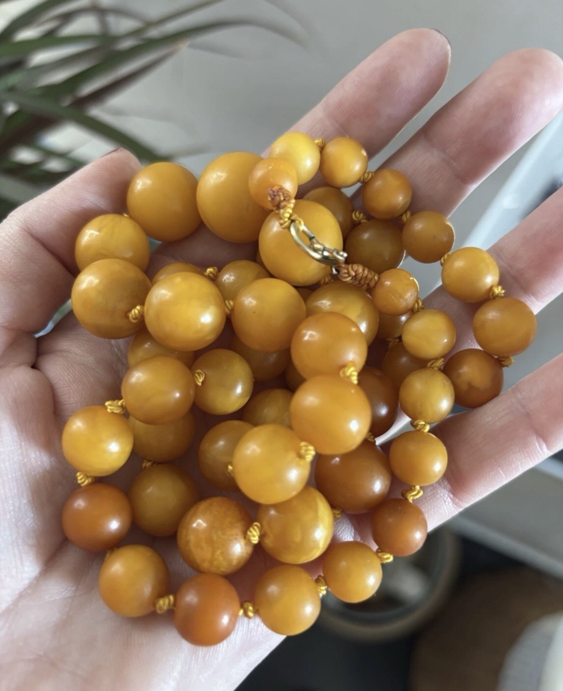VINTAGE NATURAL BALTIC EGG YOLK BUTTERSCOTCH AMBER NECKLACE BEAUTIFUL SPHERE 55g