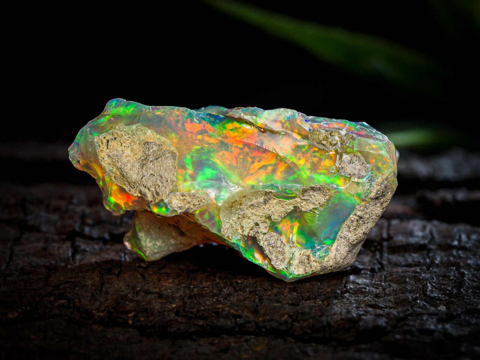 Rare Natural Ethiopian Opal Row Rough 32x18x11.5 MM Loose 26 Crt Gemstone#11
