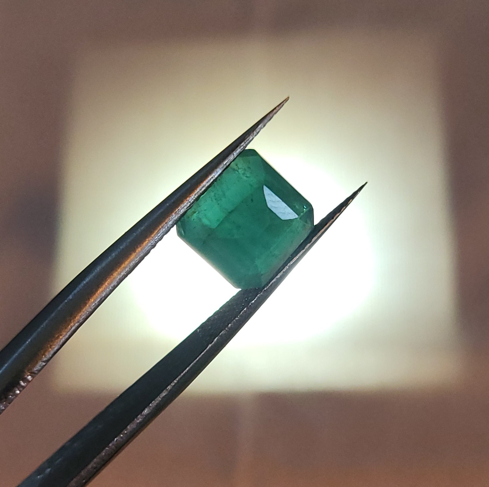 Natural Untreated Certified Rich Green Translucent Columbian Emerald 3.63ct