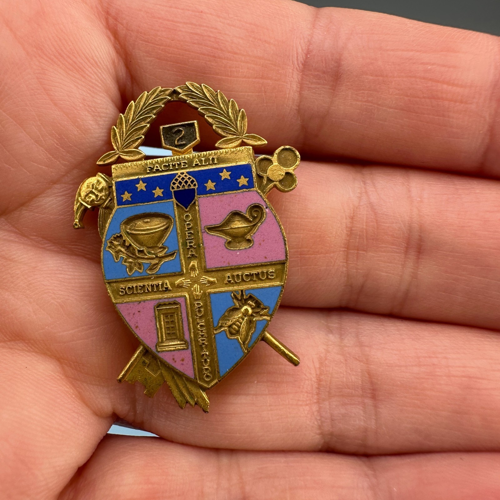 Vintage Coat of Arms Pin Lot Gold Tone Facital Scientia Auctus Opera Pulchritudo