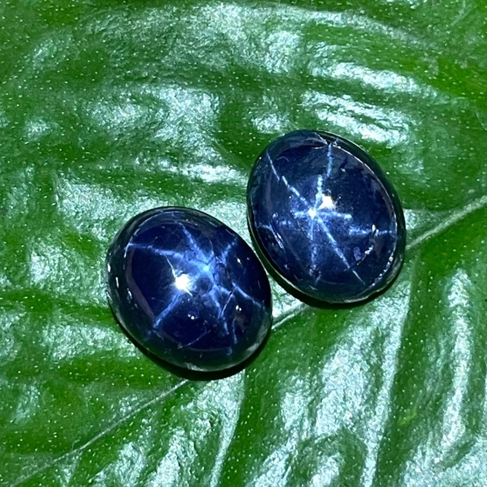 2 Pcs Natural Star Blue Sapphire 10x8mm Oval Loose Cabochon Gemstones Lot