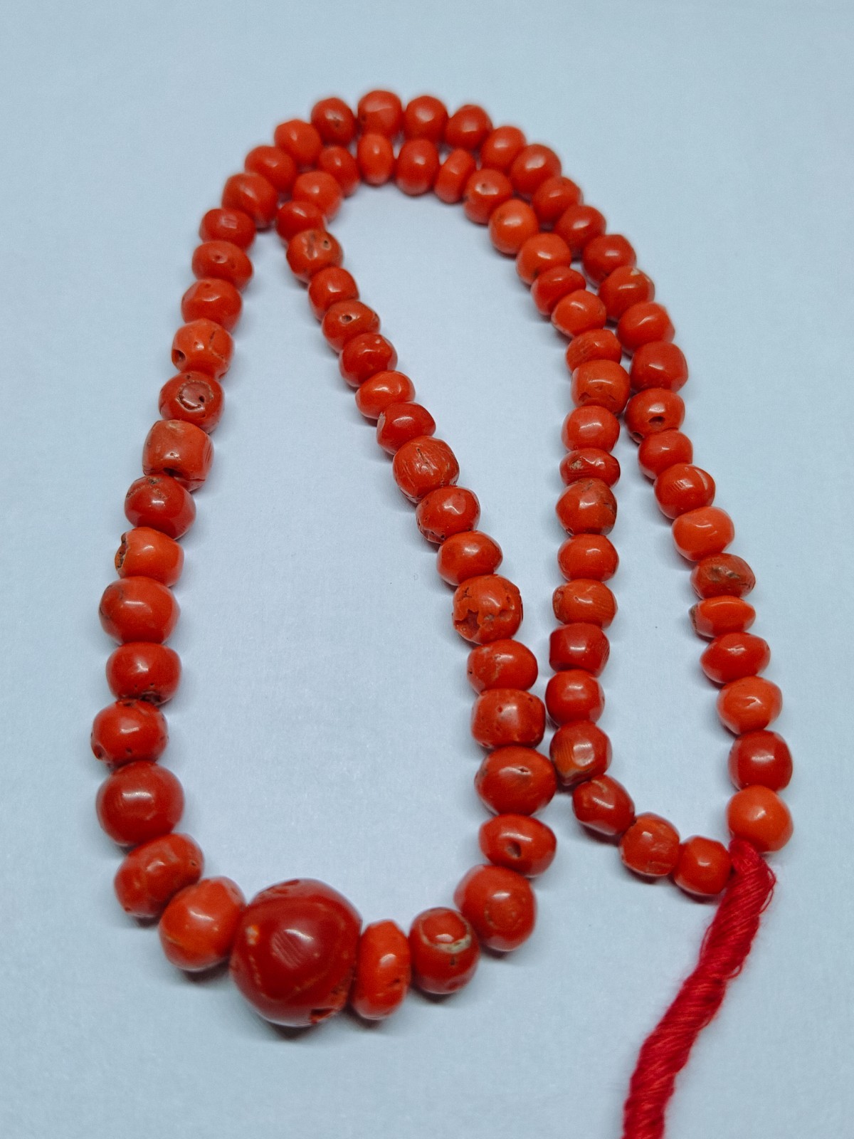 Italian Red Coral Rondelle Beads Loose Mediterranean Sea Gemstone 16 In Strand