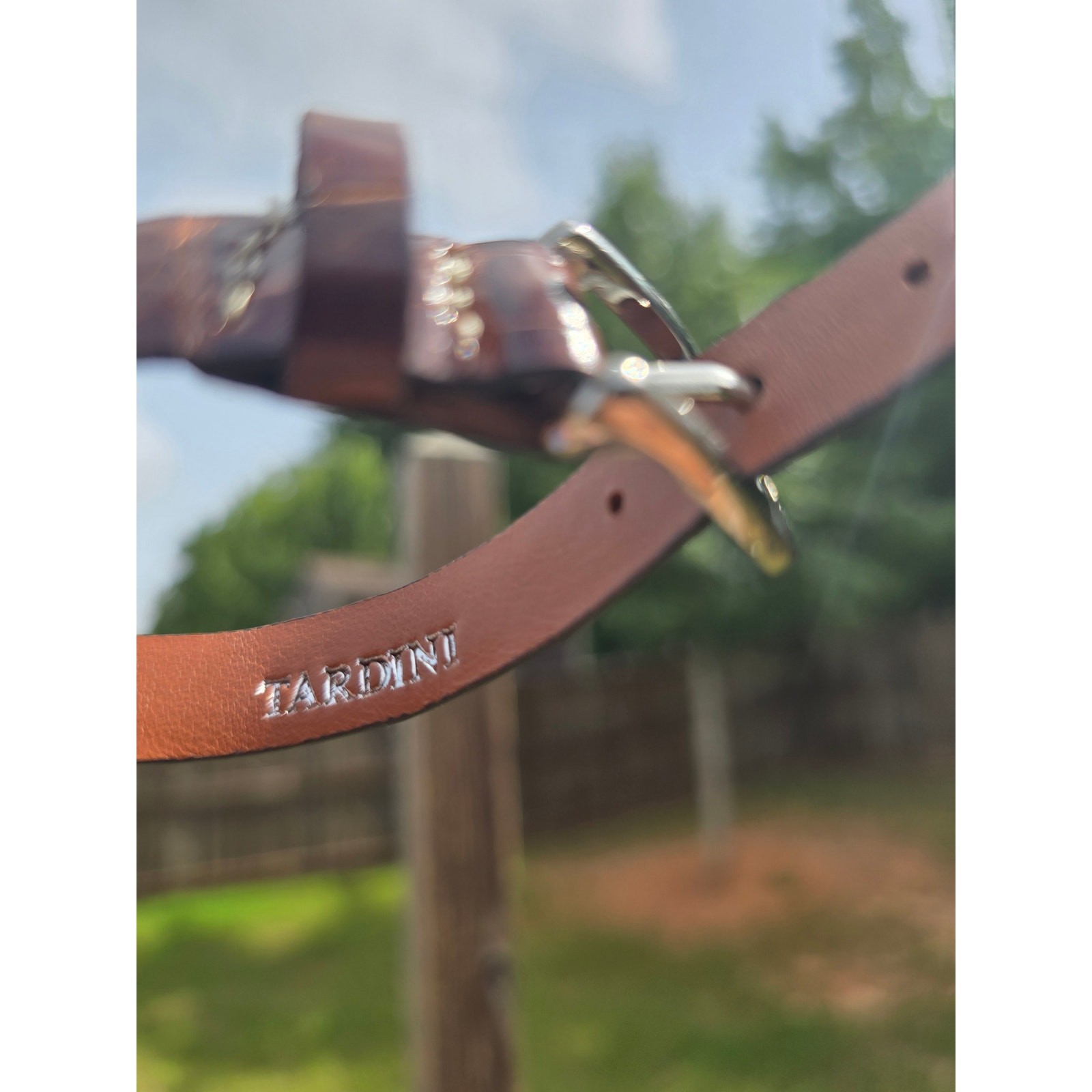 Tardini Genuine Alligator Leather Buckle Bracelet NIB