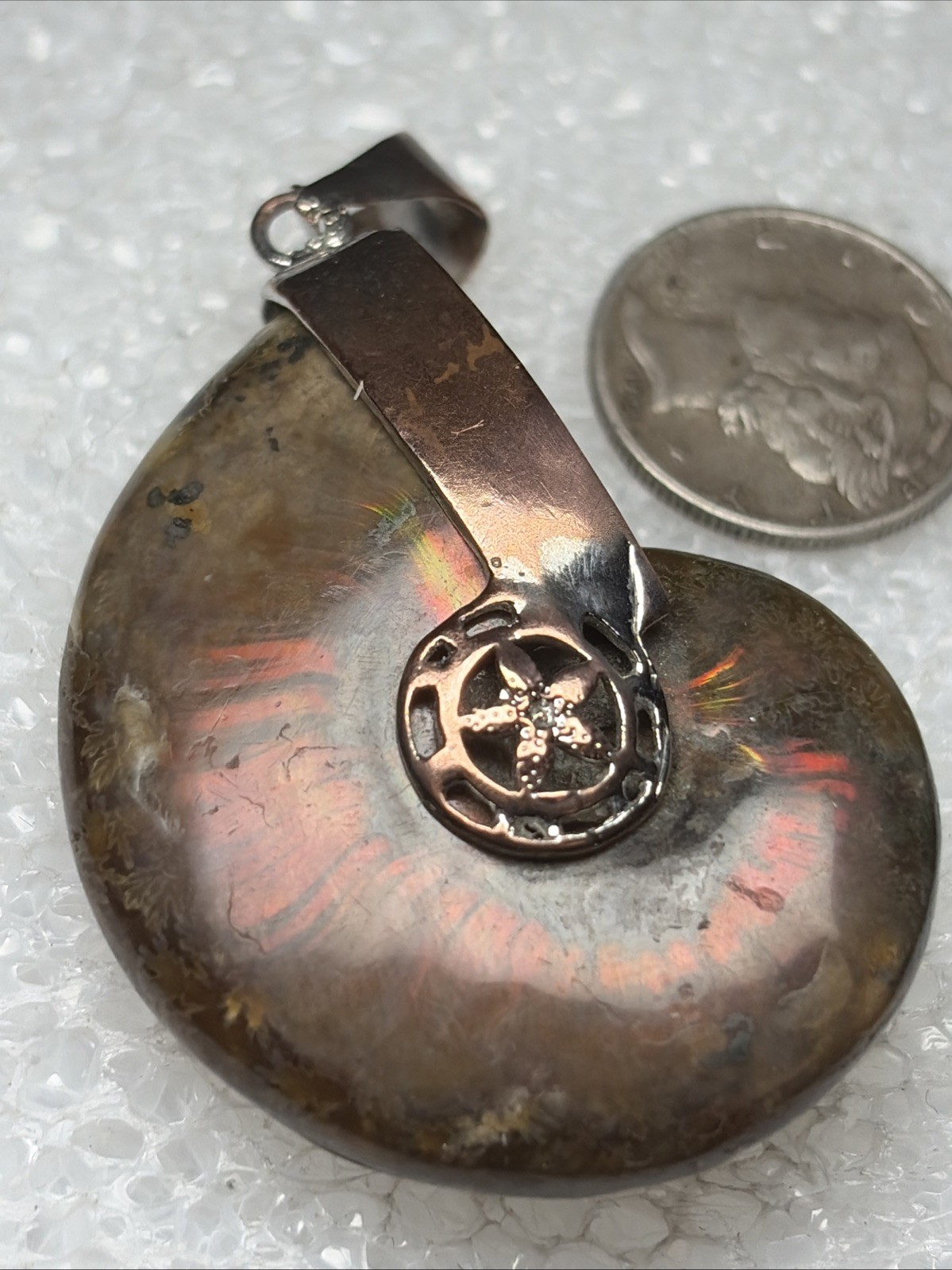 2” Fossil Rainbow Ammonite Pendant Set In Copper