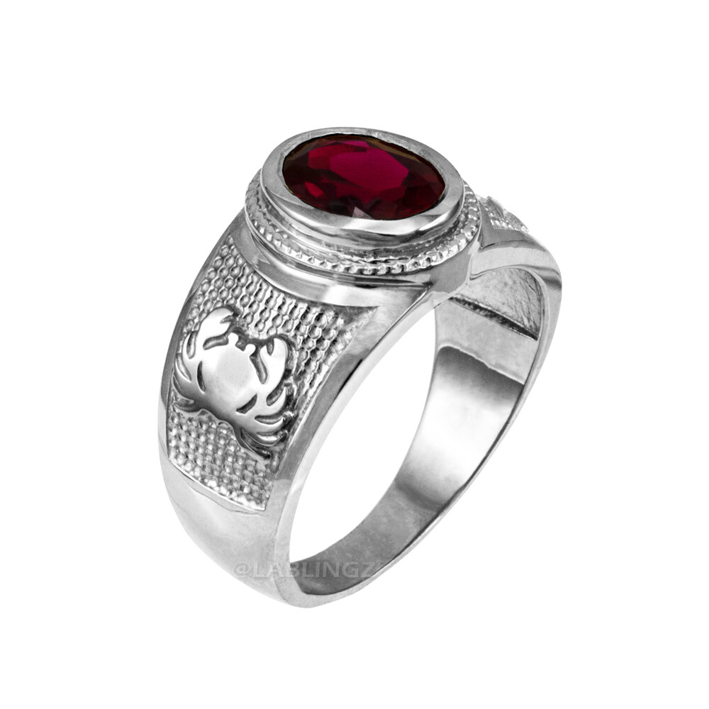 Sterling Silver Zodiac Sign Birthstone CZ Ring