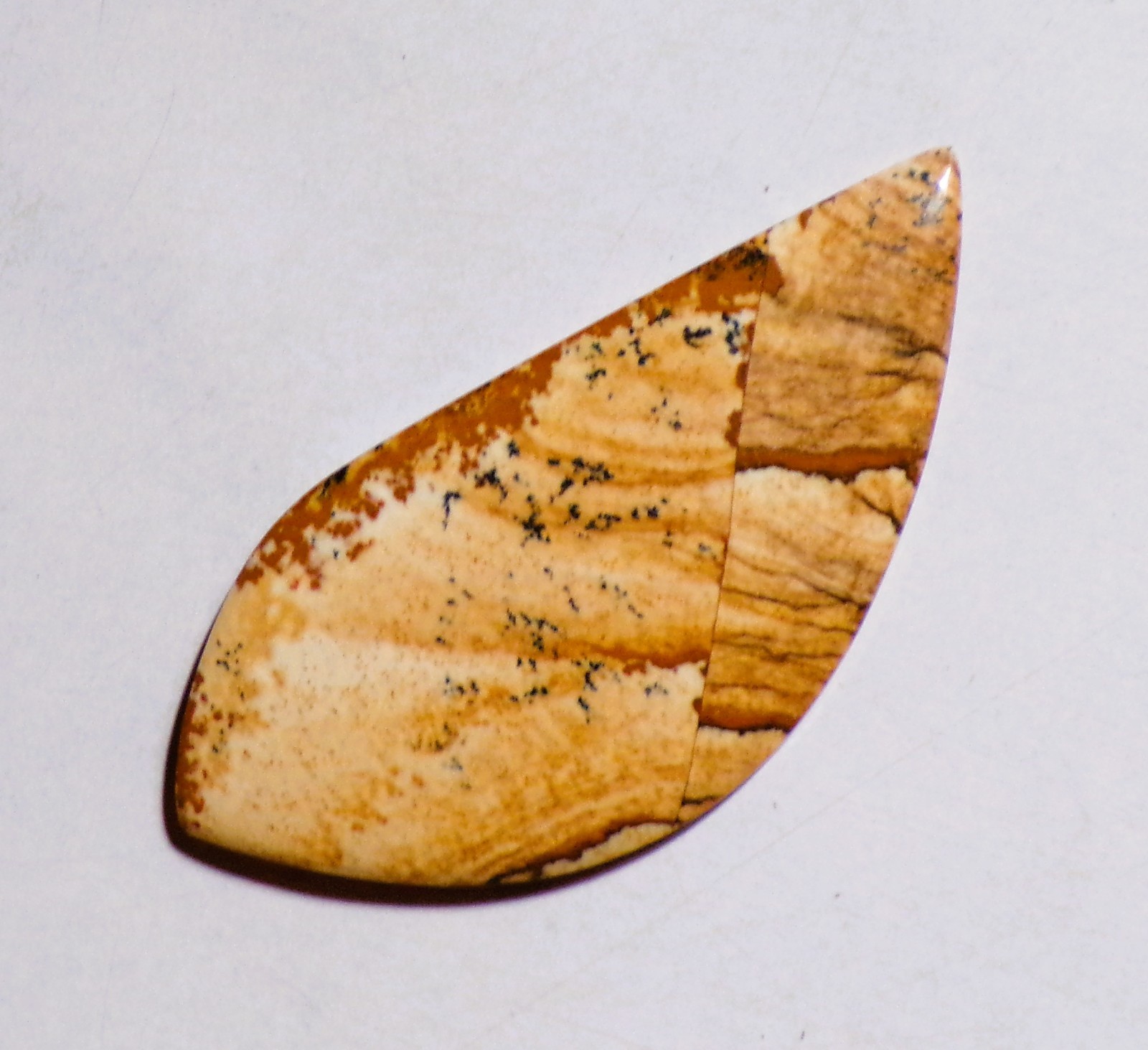 38.30 Cts Natural Picture Jasper Cabochon Loose Gemstone 55X26X4MM