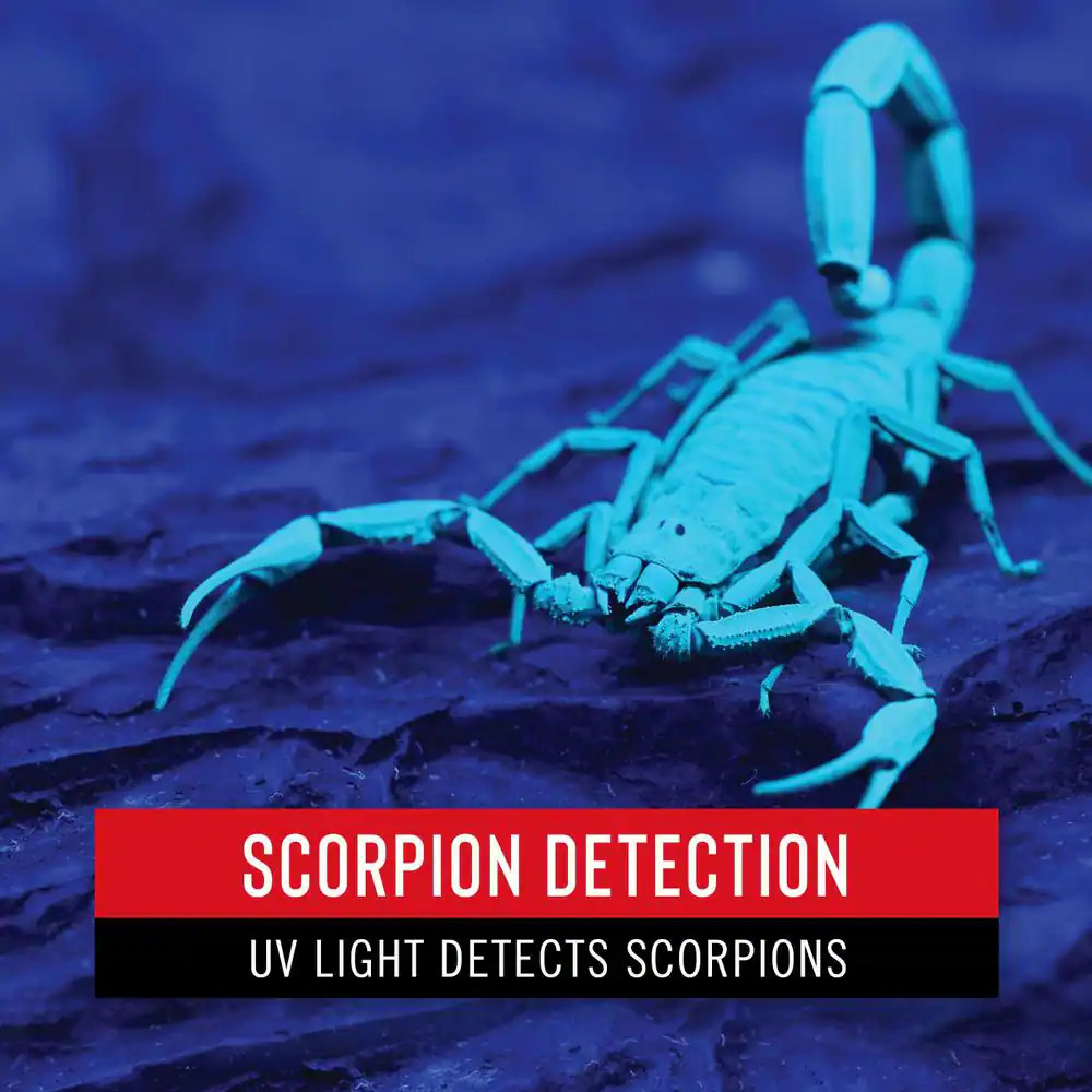 PX100 Scorpion Detecting UV Pocket Light