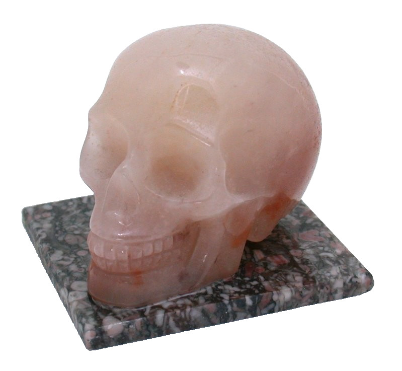 101 Gram 1 3/5 x 2 x 1 2/5 Inch Agate Skull Carving On Fossil Base EC43/9625