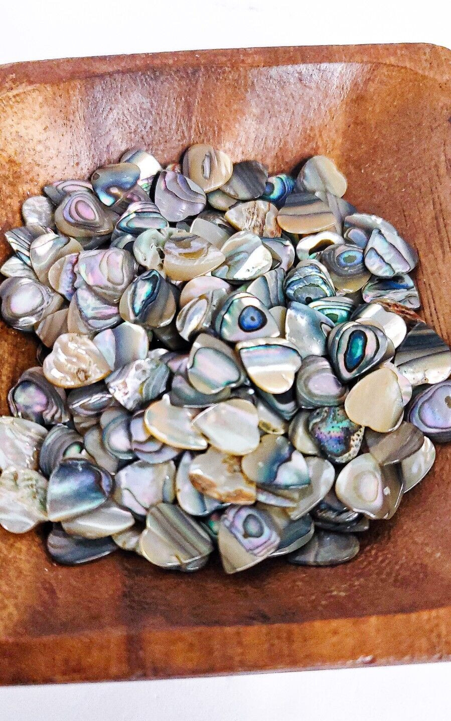 18 Abalone Cabochon HEART Shells (10×9 mm) Seashell Iridescent Paua Gemstone