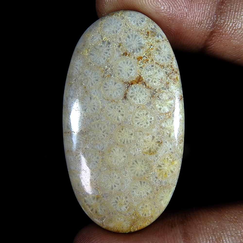 57.20 Cts Natural Fossilized Coral Cabochon, Intricate Fossil Oval Cab