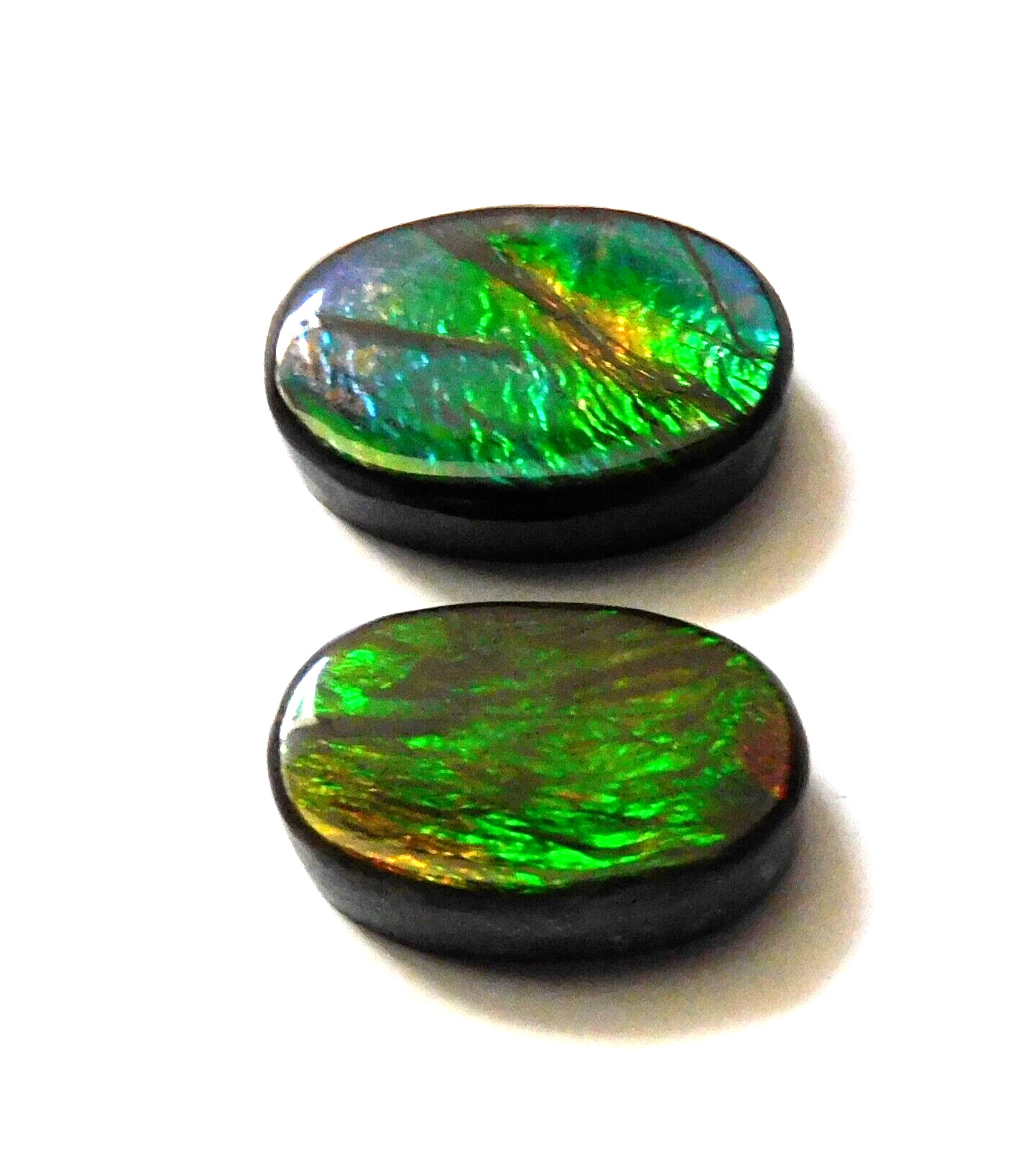 6.45 Cts Natural Ammolite (11.4mmx7.4mm each) Loose Cabochon Match Pair JQ57